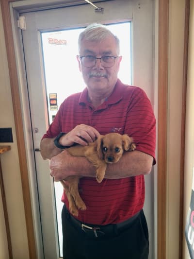 Killian, a Cavalier King Charles Spaniel puppy from Pawrade