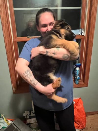 Chunky, a German Shepherd puppy from Pawrade