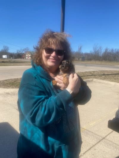 Everly, a Dachshund, Mini puppy from Pawrade