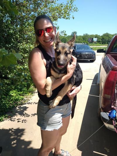 Adele, a German Shepherd puppy from Pawrade
