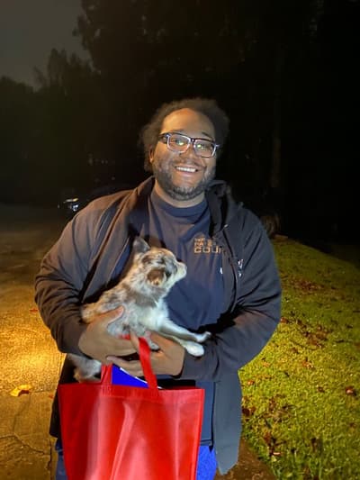 Sinatra, a Pomsky puppy from Pawrade