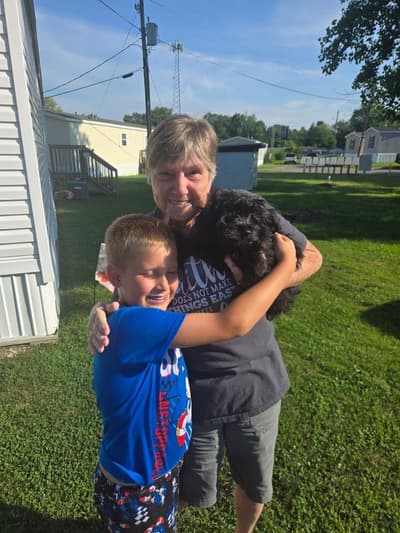 Daisy, a Yorkiepoo - Yorkie Poo puppy from Pawrade