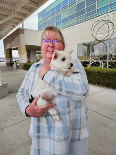 Iris, a West Highland White Terrier - Westie puppy from Pawrade