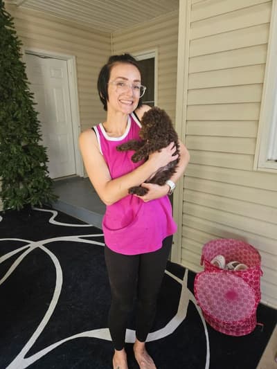 Jetta, a Poodle, Standard puppy from Pawrade