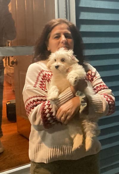 Bryson, a Havanese puppy from Pawrade