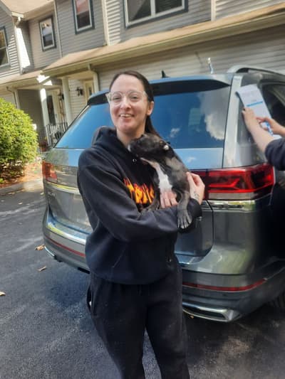 Val, a Frenchton puppy from Pawrade