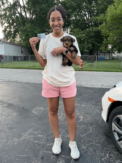 Anthony, a Yorkshire Terrier - Yorkie puppy from Pawrade