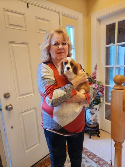Alexander, a Cavalier King Charles Spaniel puppy from Pawrade