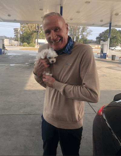 Charles, a Maltese puppy from Pawrade