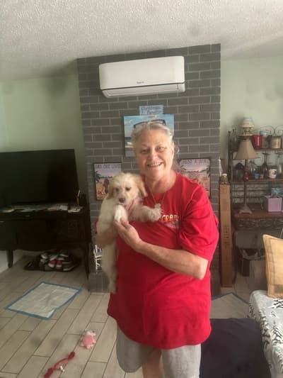 Vanessa, a Cavachon puppy from Pawrade