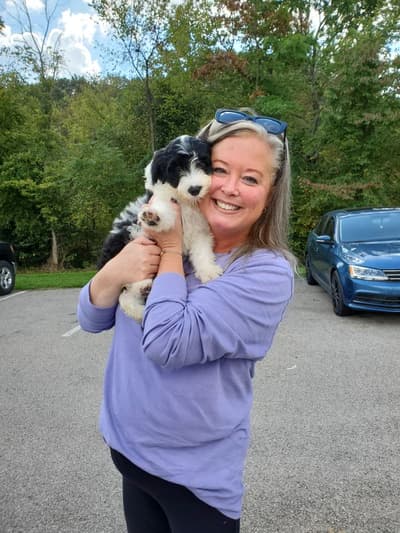 Lucy, a Portuguese Water Dog puppy from Pawrade