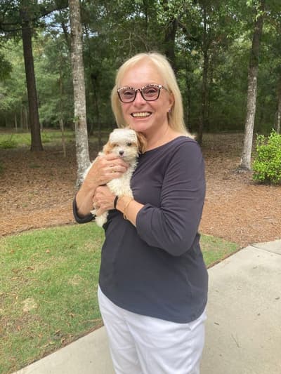 Savannah, a Malti Poo - Maltipoo puppy from Pawrade