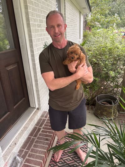 Addie, a Cavapoo puppy from Pawrade