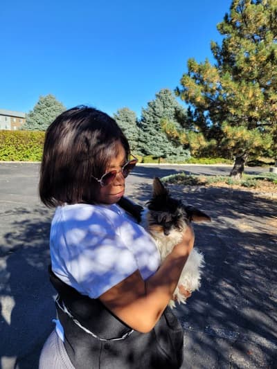 Tyler, a Yorkshire Terrier - Yorkie puppy from Pawrade