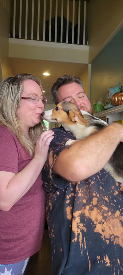 Buster, a Corgi, Pembroke Welsh puppy from Pawrade