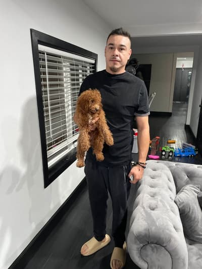 Merida, a Poodle, Miniature puppy from Pawrade