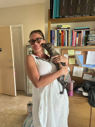 Alister, a Italian Greyhound puppy from Pawrade
