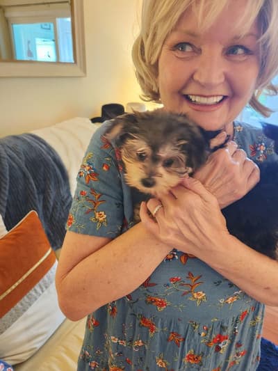 Helen, a Morkie / Yorktese puppy from Pawrade