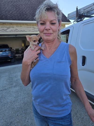 Kane, a Chihuahua puppy from Pawrade