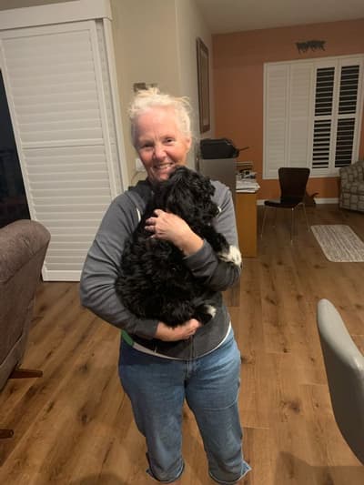 Eva, a Portuguese Water Dog puppy from Pawrade