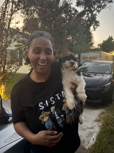Norris, a Havanese puppy from Pawrade