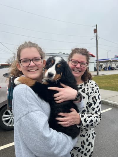 Basil, a Bernese Mountain Dog puppy from Pawrade
