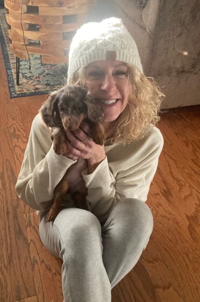 Rascal, a Dachshund, Mini puppy from Pawrade