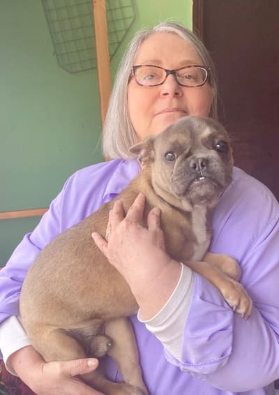 Kurtis, a French Bulldog puppy from Pawrade