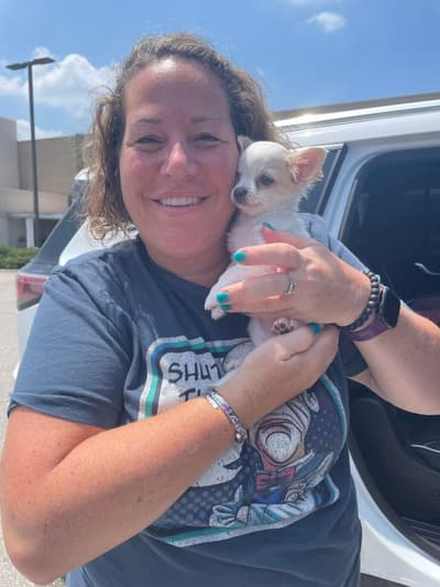Mia, a Chihuahua puppy from Pawrade