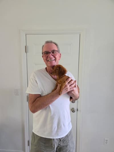 Gwyneth, a Dachshund, Mini puppy from Pawrade