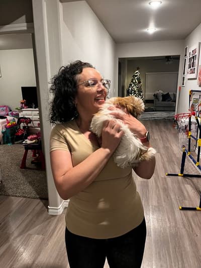Angelina, a Shih Tzu puppy from Pawrade