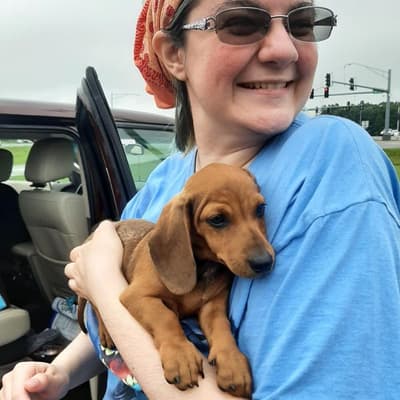 Leo, a Dachshund, Mini puppy from Pawrade