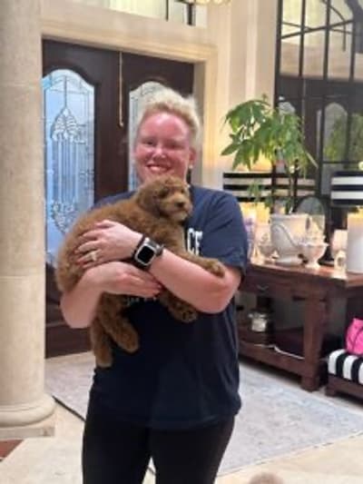 Pumpkin, a Goldendoodle, Mini puppy from Pawrade