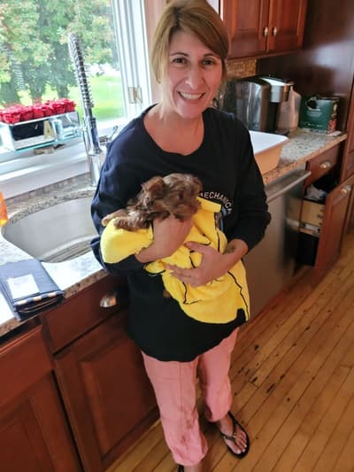 Kobe, a Yorkshire Terrier - Yorkie puppy from Pawrade