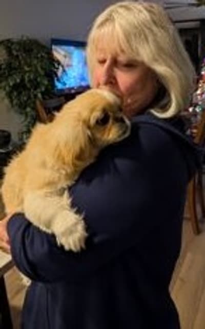 Bobby Joe, a Pekingese puppy from Pawrade