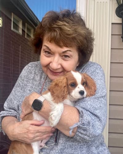 Jaimie, a Cavalier King Charles Spaniel puppy from Pawrade