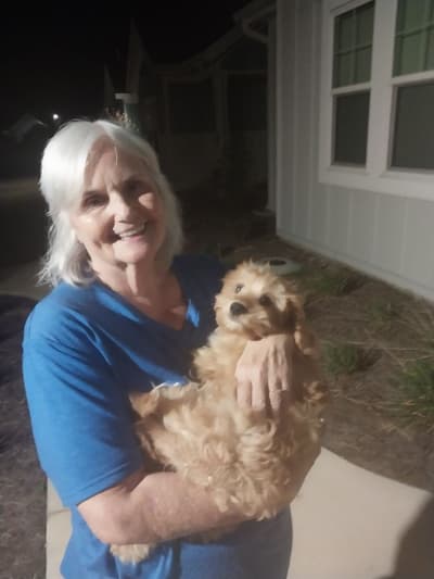 Arnold, a Cavapoo puppy from Pawrade