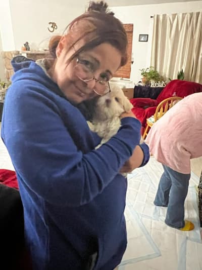 Remi, a Shih Tzu puppy from Pawrade