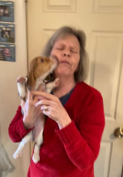 Nessi, a Beagle puppy from Pawrade