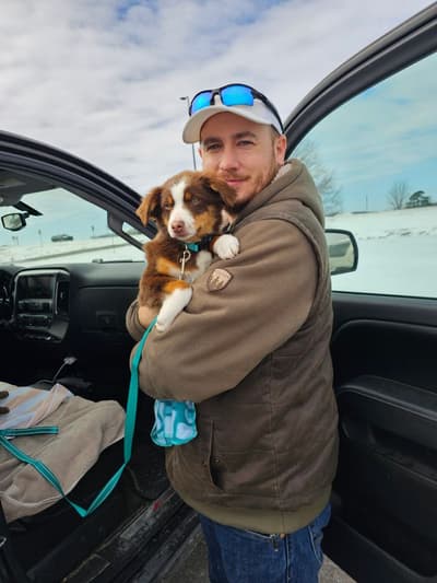 Ashton, a Miniature Australian Shepherd puppy from Pawrade