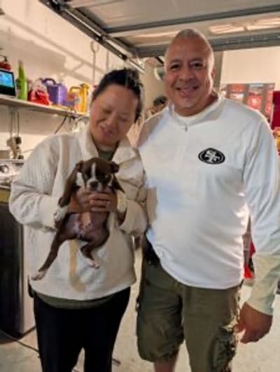 Beth, a Boston Terrier puppy from Pawrade