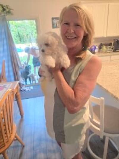 Bear, a Maltese puppy from Pawrade