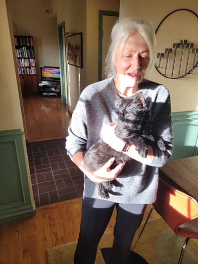 Brielle, a Scottish Terrier puppy from Pawrade