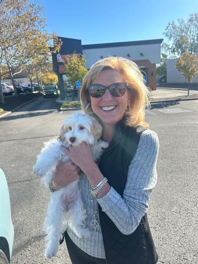 Pippa, a Havanese puppy from Pawrade