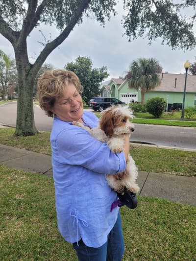 Kalla, a Cavapoo puppy from Pawrade