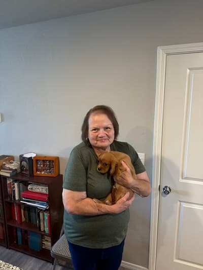 Bogart, a Cavalier King Charles Spaniel puppy from Pawrade