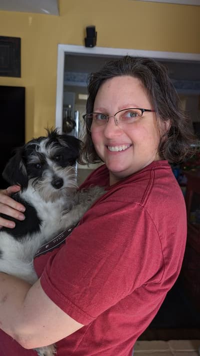 Cohen, a Schnauzer, Miniature puppy from Pawrade