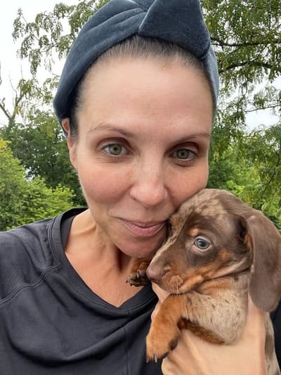 Hunter, a Dachshund, Mini puppy from Pawrade