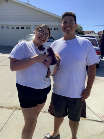 Fitz, a Miniature Australian Shepherd puppy from Pawrade