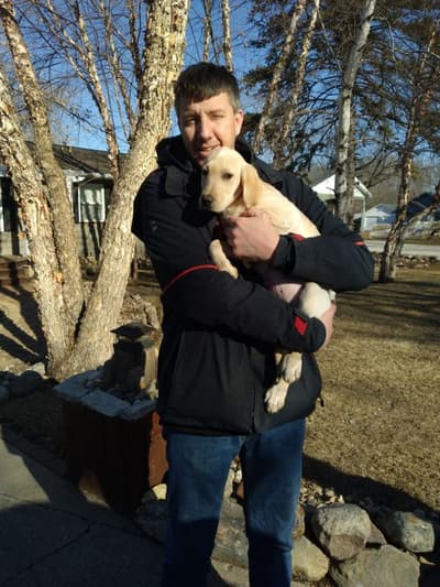 Calliope, a Labrador Retriever puppy from Pawrade